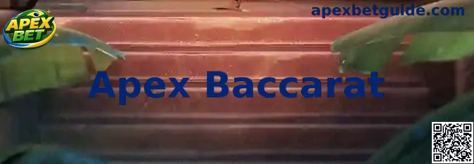 Interface ilustrativa do Apex Baccarat